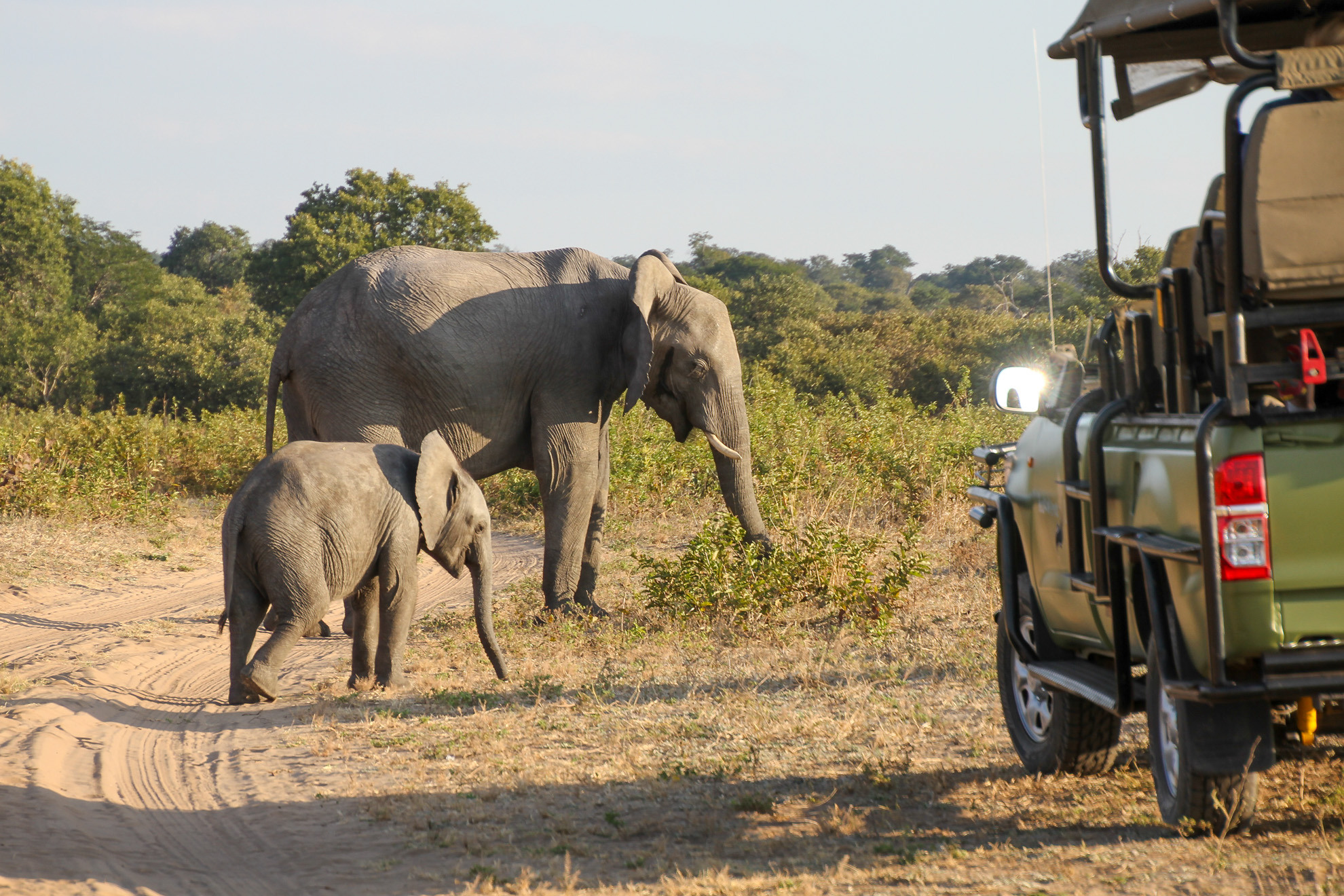 Chobe Nationalpark