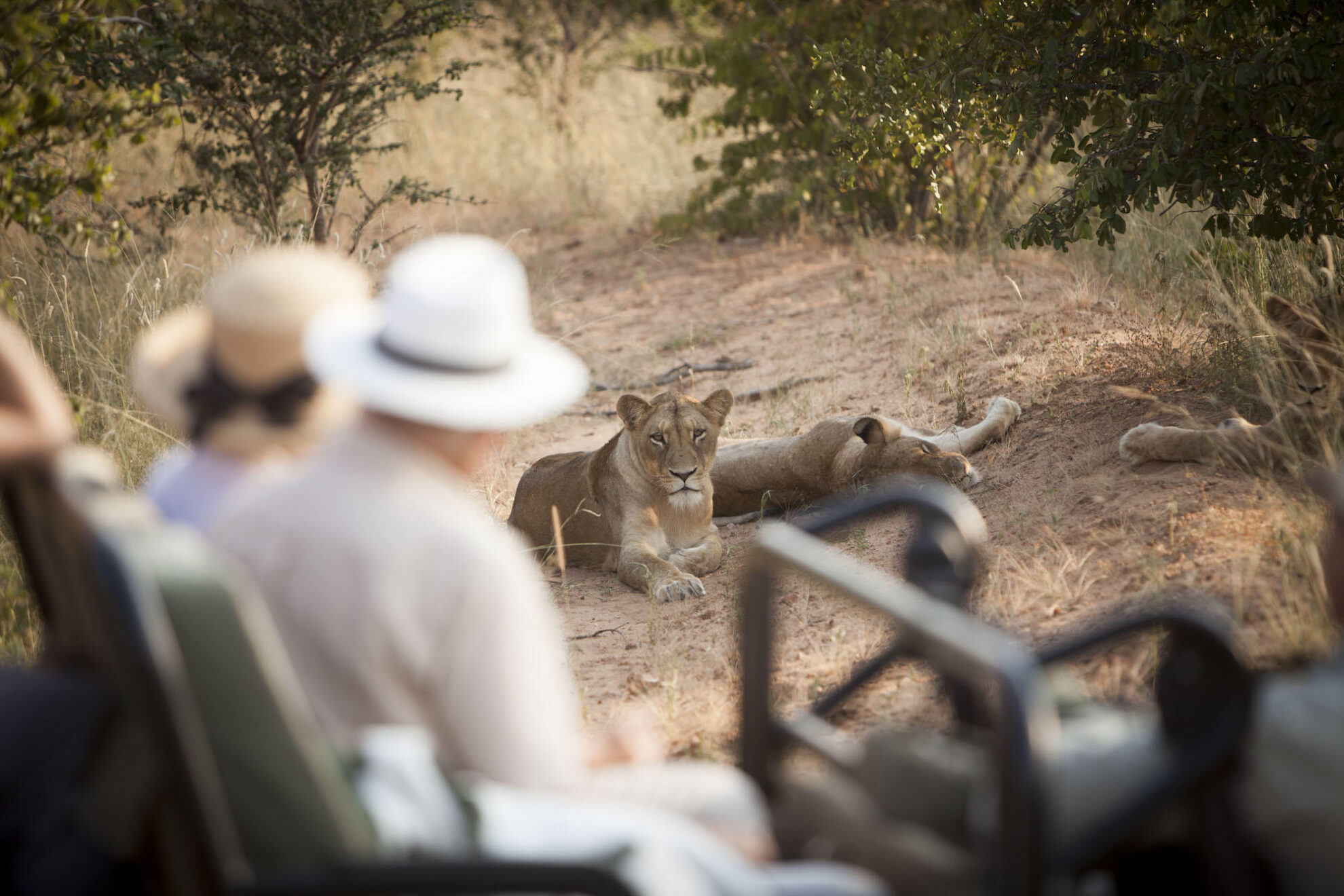 Kapama Buffalo Camp