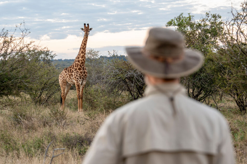 Safari Guide Afrika - Franz Roitne