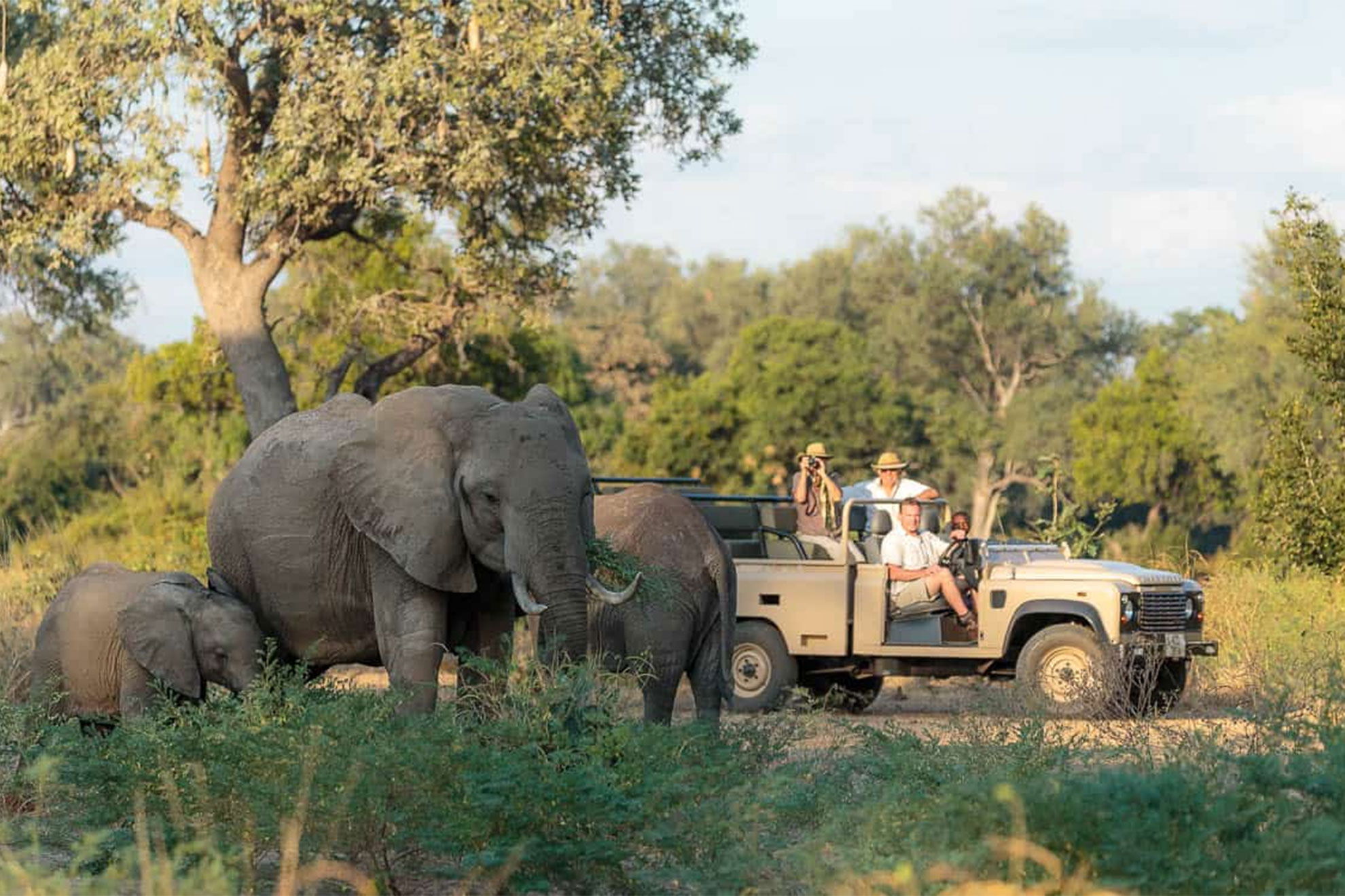 Nkonzi Bush Camp Nkonzi Bush Camp